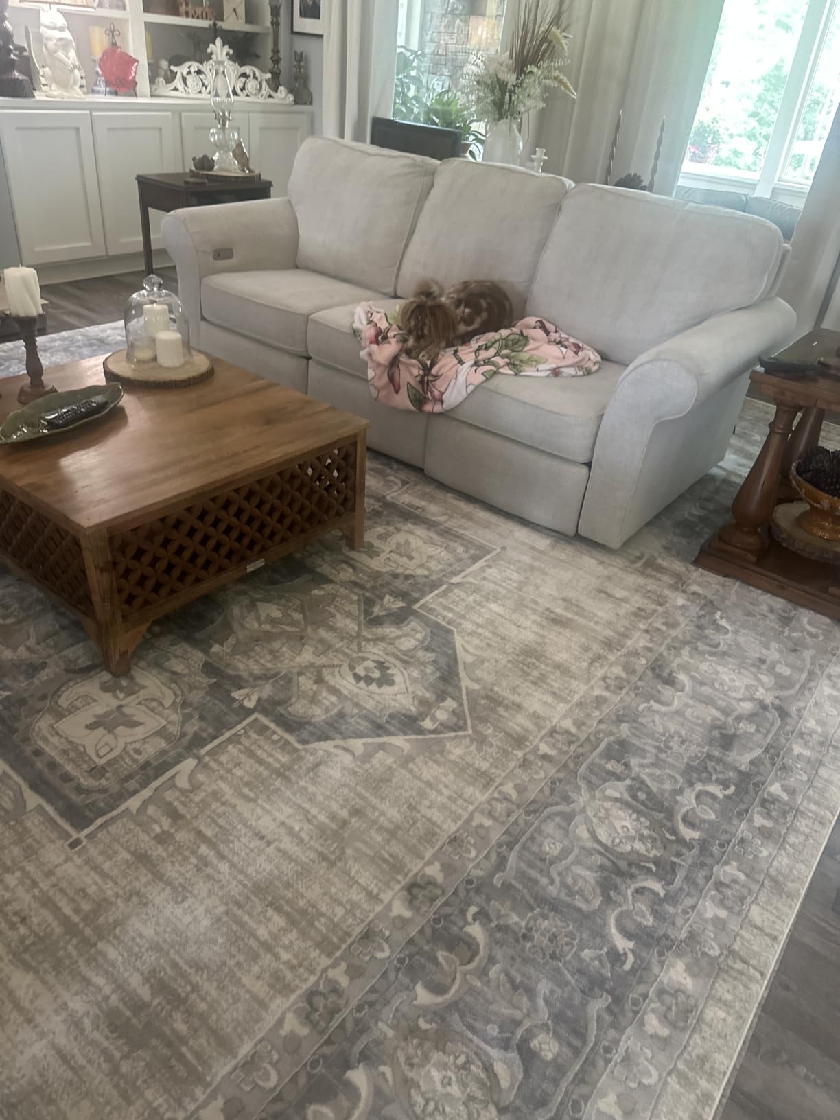SAFAVIEH Area Rug 8x10 - Brentwood Collection - Large - Cream & Grey, Medallion Distressed Design, Non-Shedding & Easy to Clean, Ideal for Living Room, Bedroom, Dining Space (BNT865B) customer photo 2
