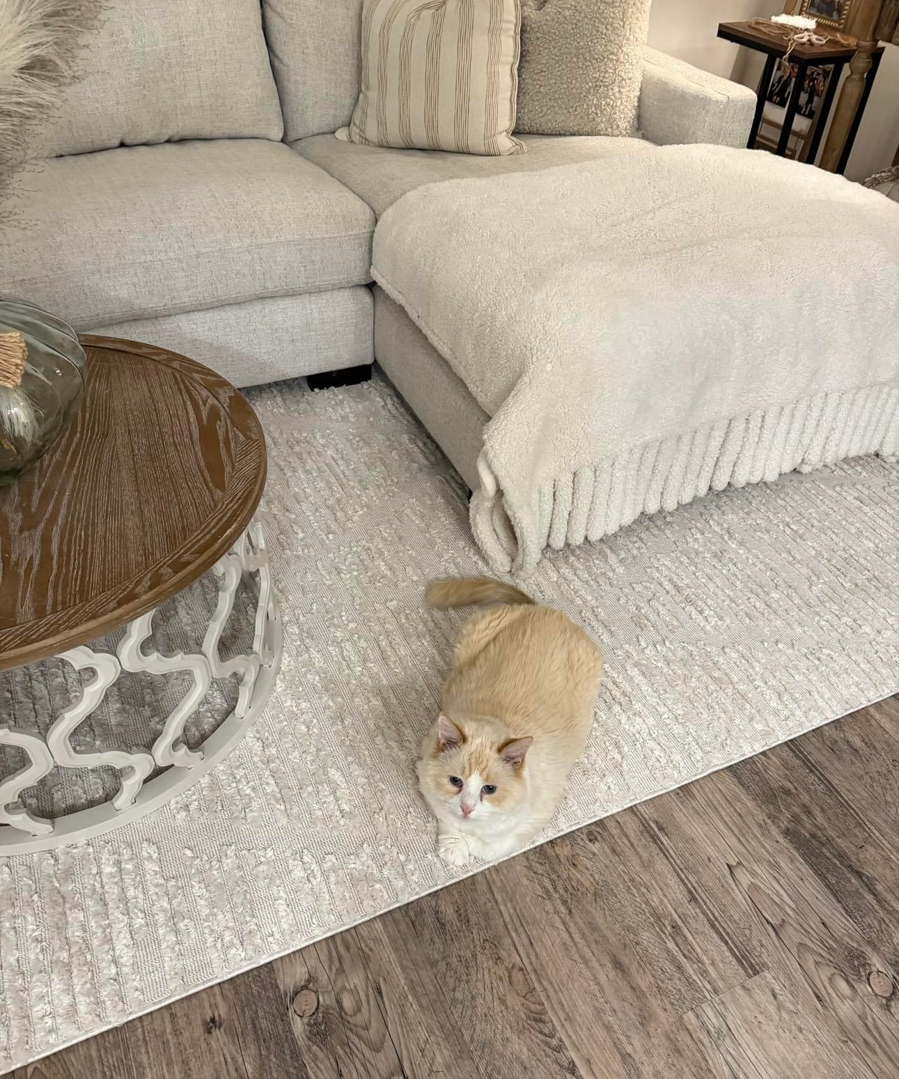SAFAVIEH Area Rug 8x10 - Marrakesh Collection - Large - Beige, Moroccan Trellis Design with Tassel Detail, Non-Shedding & Easy to Clean, Ideal for Living Room, Bedroom, Dining Space (MRK517C) customer photo 2