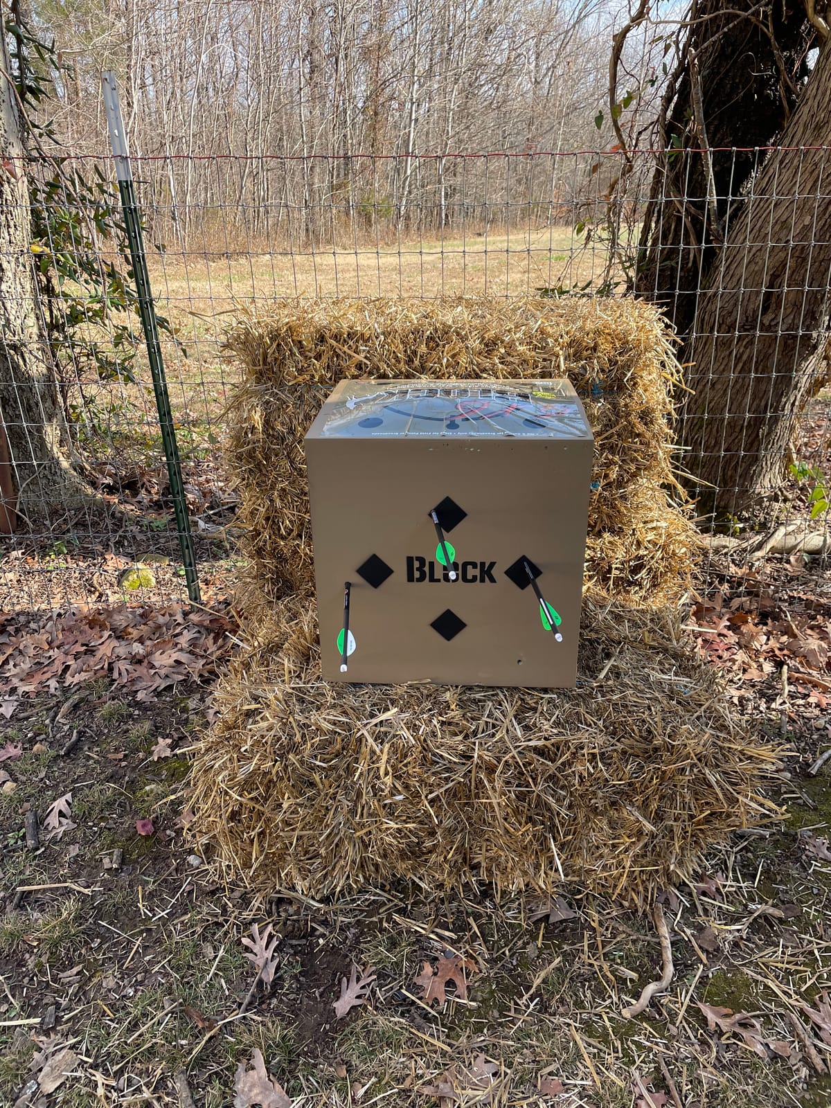 Barnett Whitetail Series Crossbow Package – Hunting Crossbows with 4x32 Scope, Arrows, Quiver & Cocking Device Options – Multiple Models & Configurations customer photo 2