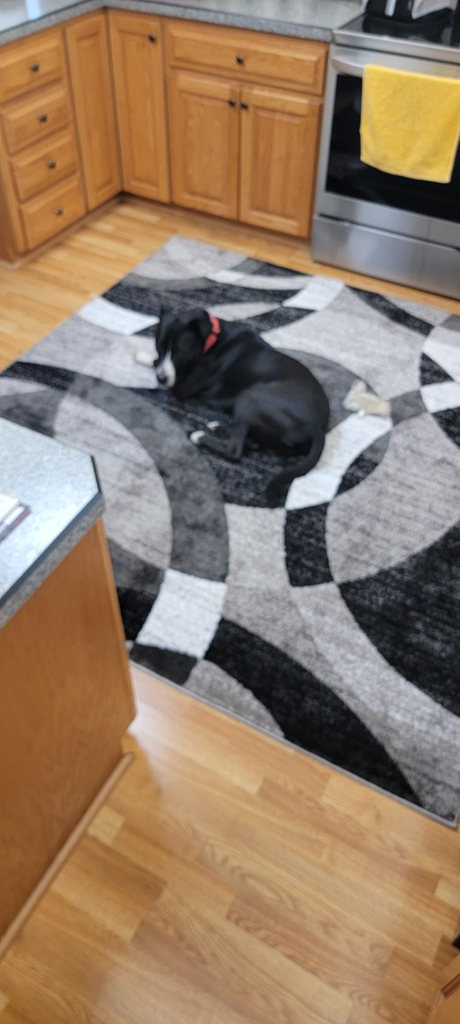 Rugshop Overlapping Circles Modern Geometric Area Rug Blue 7'10
