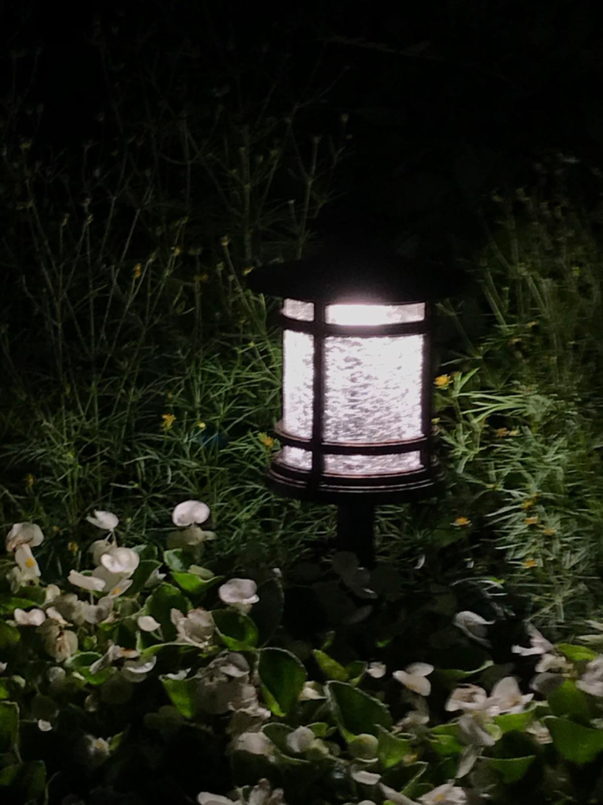 hykolity Low Voltage ORB LED Landscape Path Light with Crackled Glass Shade customer photo 2