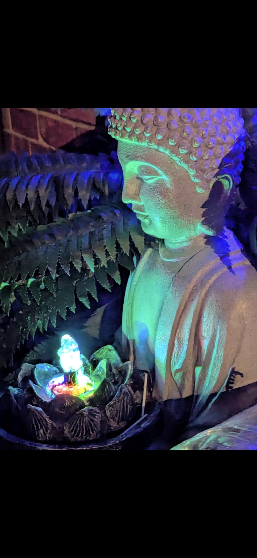 PULACO 160GPH Small Fountain Pump, 10Watt Submersible Pump with Automatic Color Changing LED Light and 3.3 ft Tubing for Water Feature, Outdoor Pond, Aquarium fish tanks customer photo 2