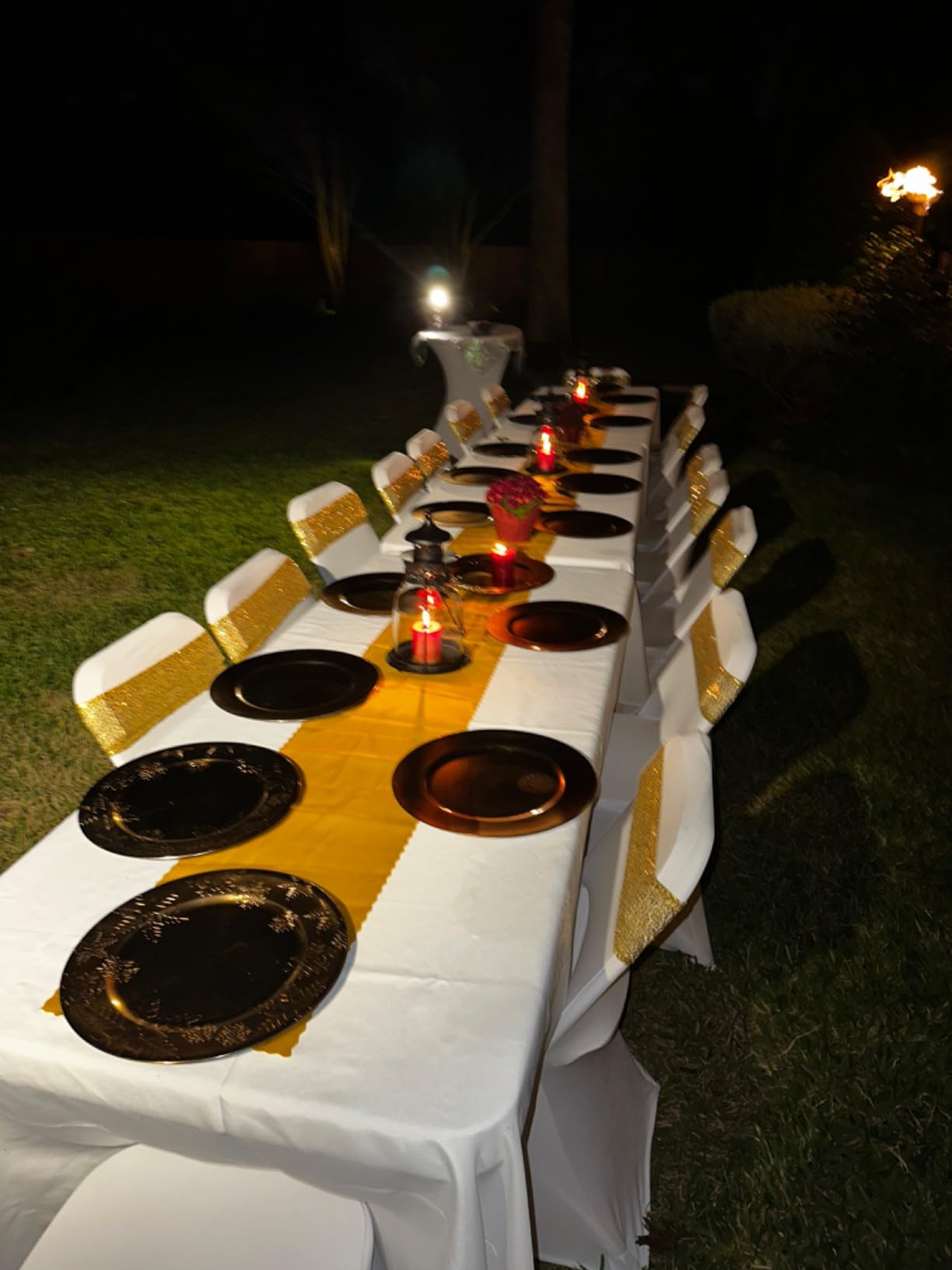 SUNVIE Outdoor Landscape LED Lighting 12W Waterproof Garden Lights COB Led Spotlights with Spiked Stand for Lawn Decorative Lamp US 3- Plug 3000K Warm White (2 Packs) customer photo 2