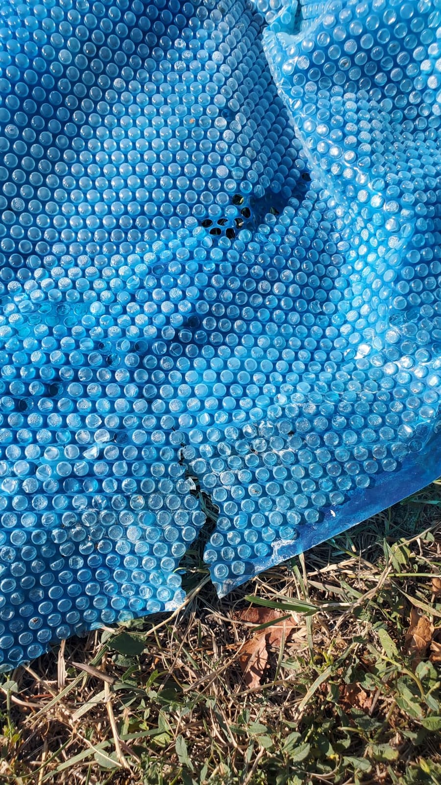 Doheny's Clear-Tek Micro Bubble Solar Pool Cover for Above Ground Swimming Pools | Increase Solar Energy Absorption, Retain Heat, Reduce Evaporation, Reduce Heat Loss & Save, 24 ft Round Blue 1600 customer photo 1
