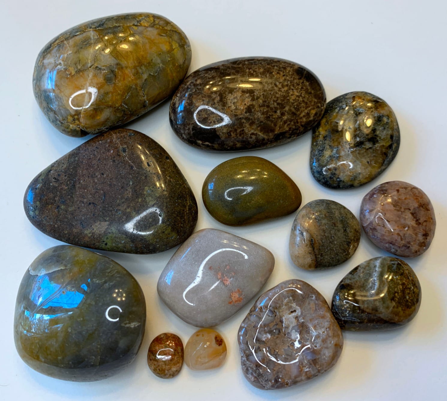 National Geographic 3 Lb. Rock Tumbler Kit for Kids and Adult Beginners customer photo 2