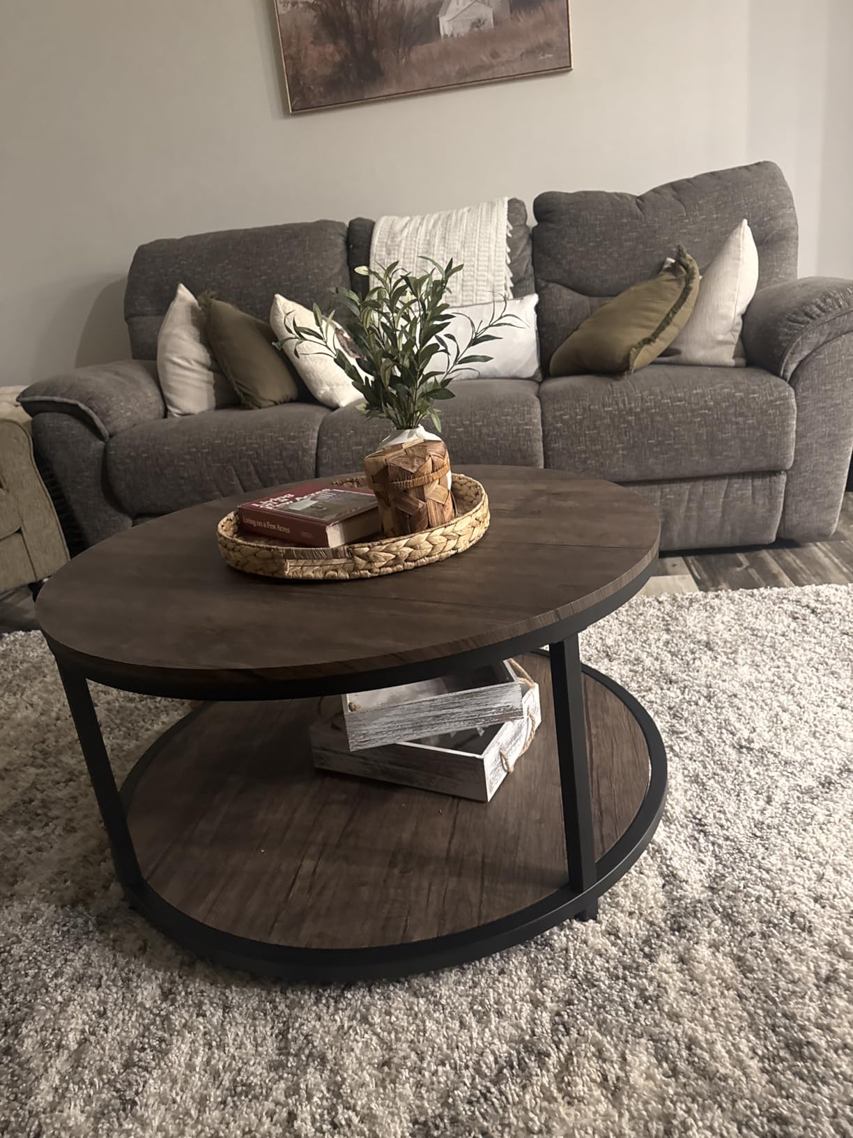 SAFAVIEH Hudson Shag Rug 5'3