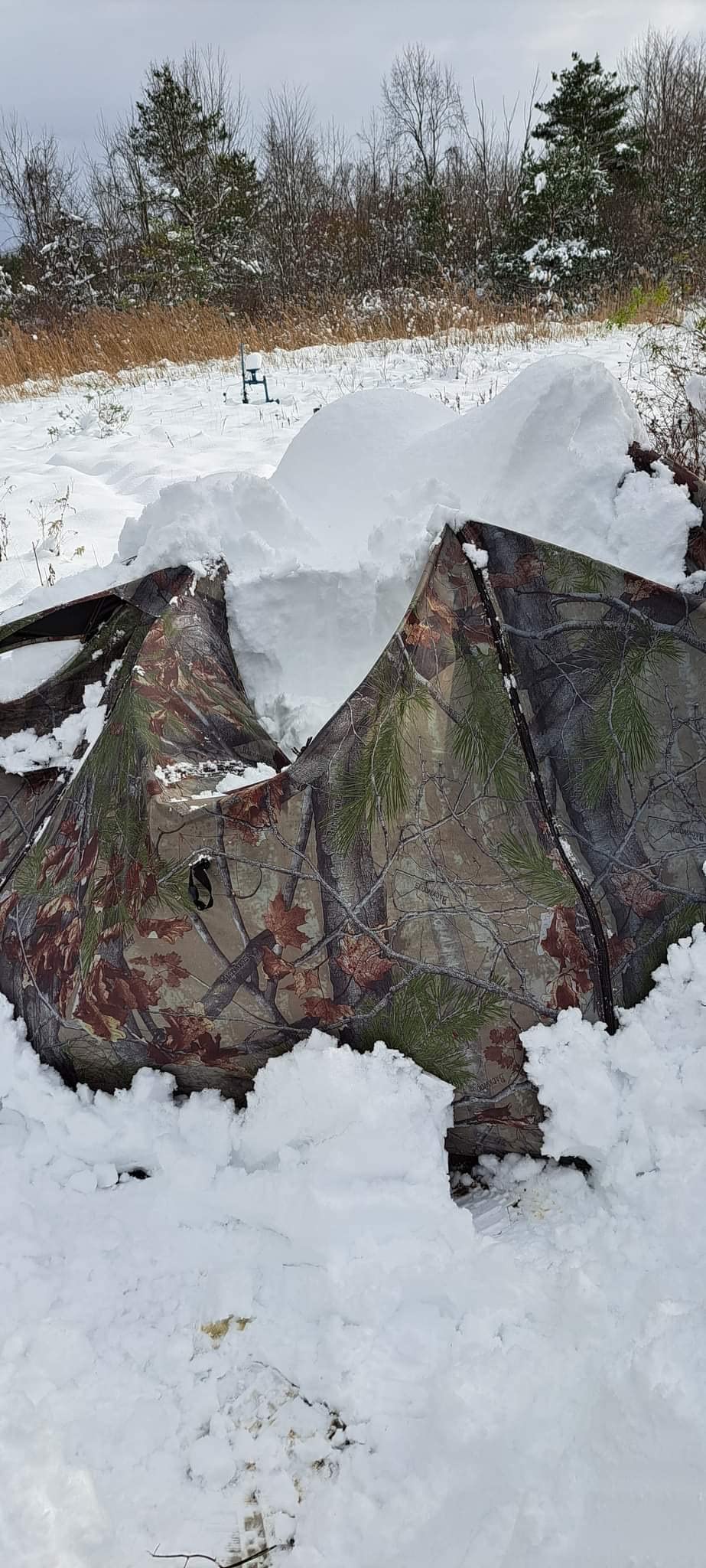 Barronett Blinds® Feather Five, Portable Hunting Blind, Huge Interior, Lightweight, 4-Person, Bloodtrail® Backwoods, 72” x 84” x 84”, FF500BW customer photo 1