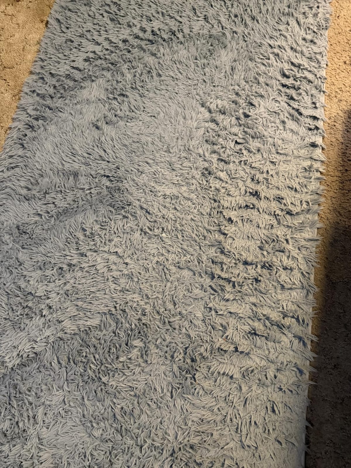 Chicrug Soft Runner Rug for Bedroom Living Room Plush Fluffy Rugs 2x6 customer photo 2