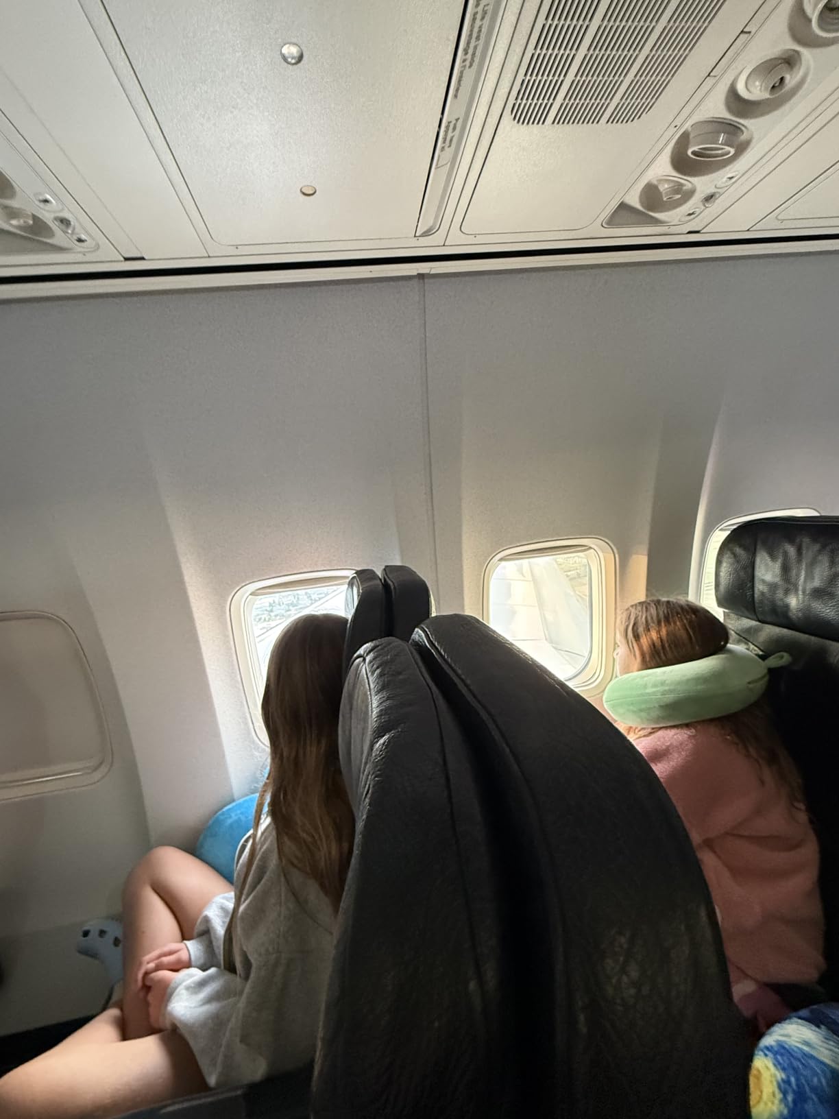 Neck Pillows for Sleeping, Memory Foam Travel Pillow, Pink customer photo 2