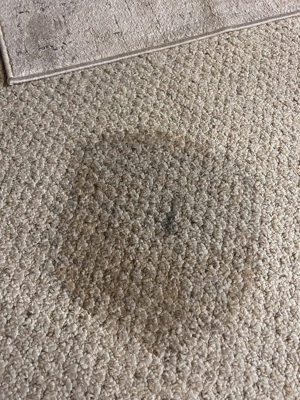 Hoover CleanSlate Plus Portable Carpet + Upholstery Spot Cleaner Machine customer photo 2