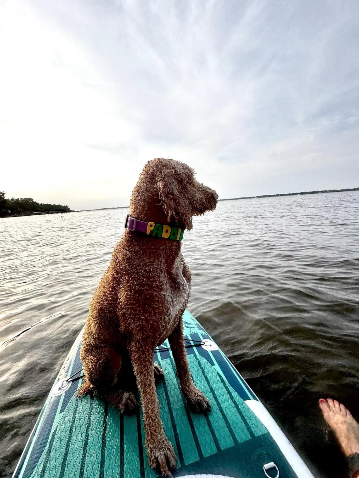 Inflatable Stand-Up Paddle Board: Wide SUP with Full Accessories, Anti-Slip EVA Deck, Paddleboard for Yoga/Surfing/Fishing & More, for Youth & Adults, Beginner-Friendly customer photo 2