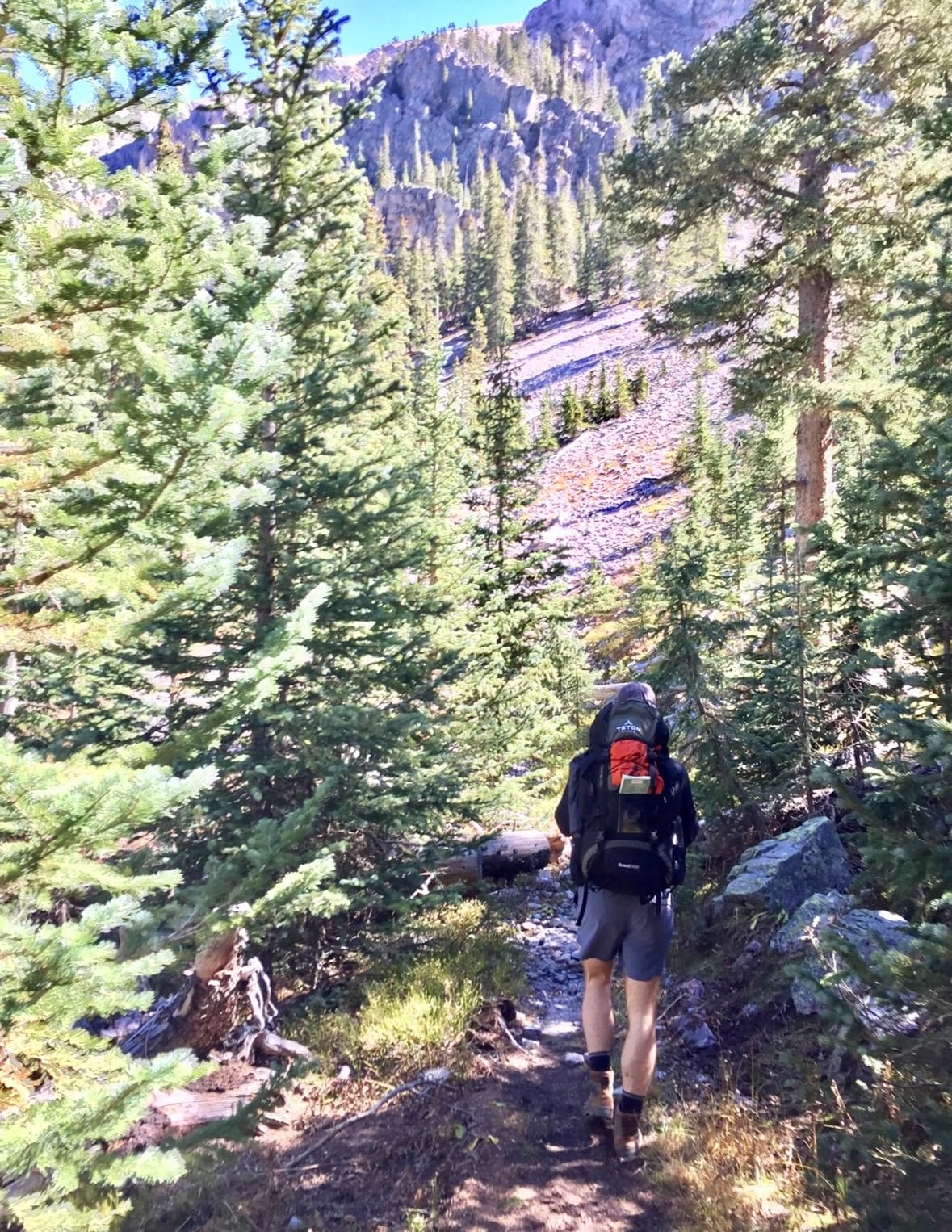 Teton 55L Scout Internal Frame Backpack for Hiking, Camping, Backpacking, Travel, Rain Cover Included, Black customer photo 2
