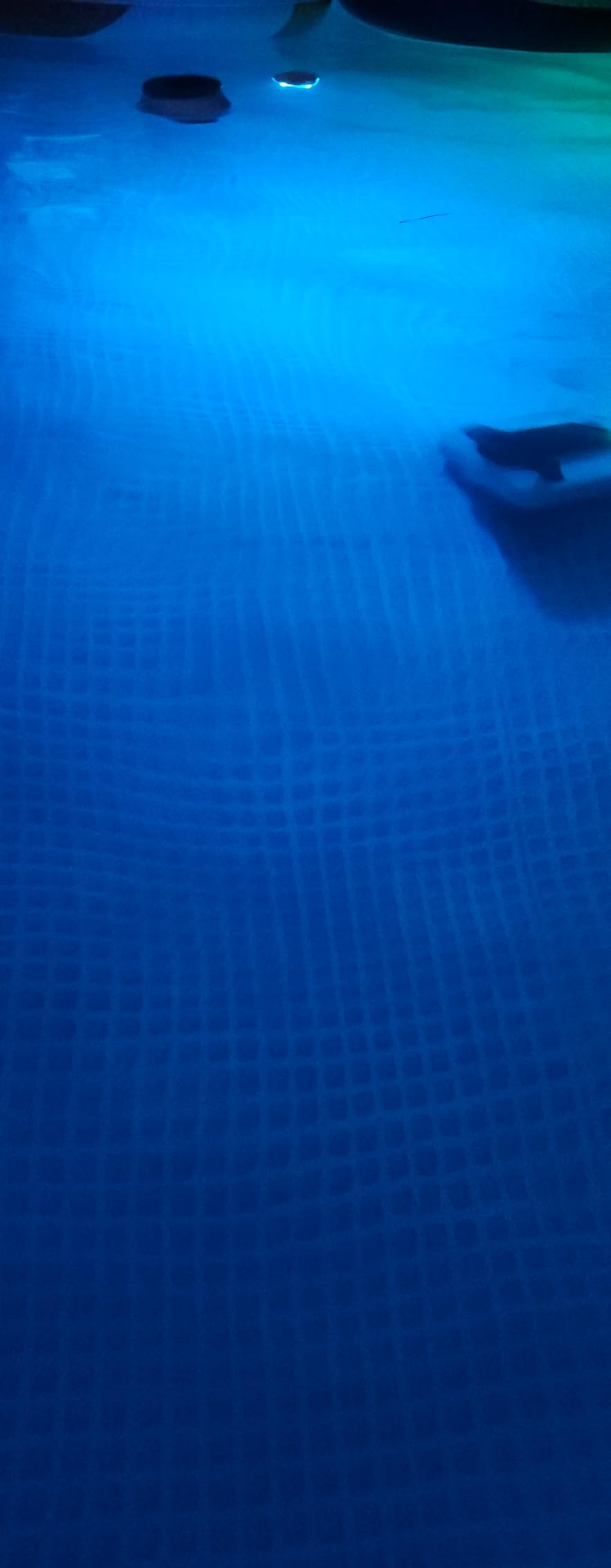 DeeprBetter Floating Pool Lights,Color Changing Waterproof Magnetic Pond Lights,Pool Light that Float,Starfish Above Ground Pools Light Up for Pond,Hot tub,Bathtub,Shower,Halloween,Christmas-2pcs customer photo 1