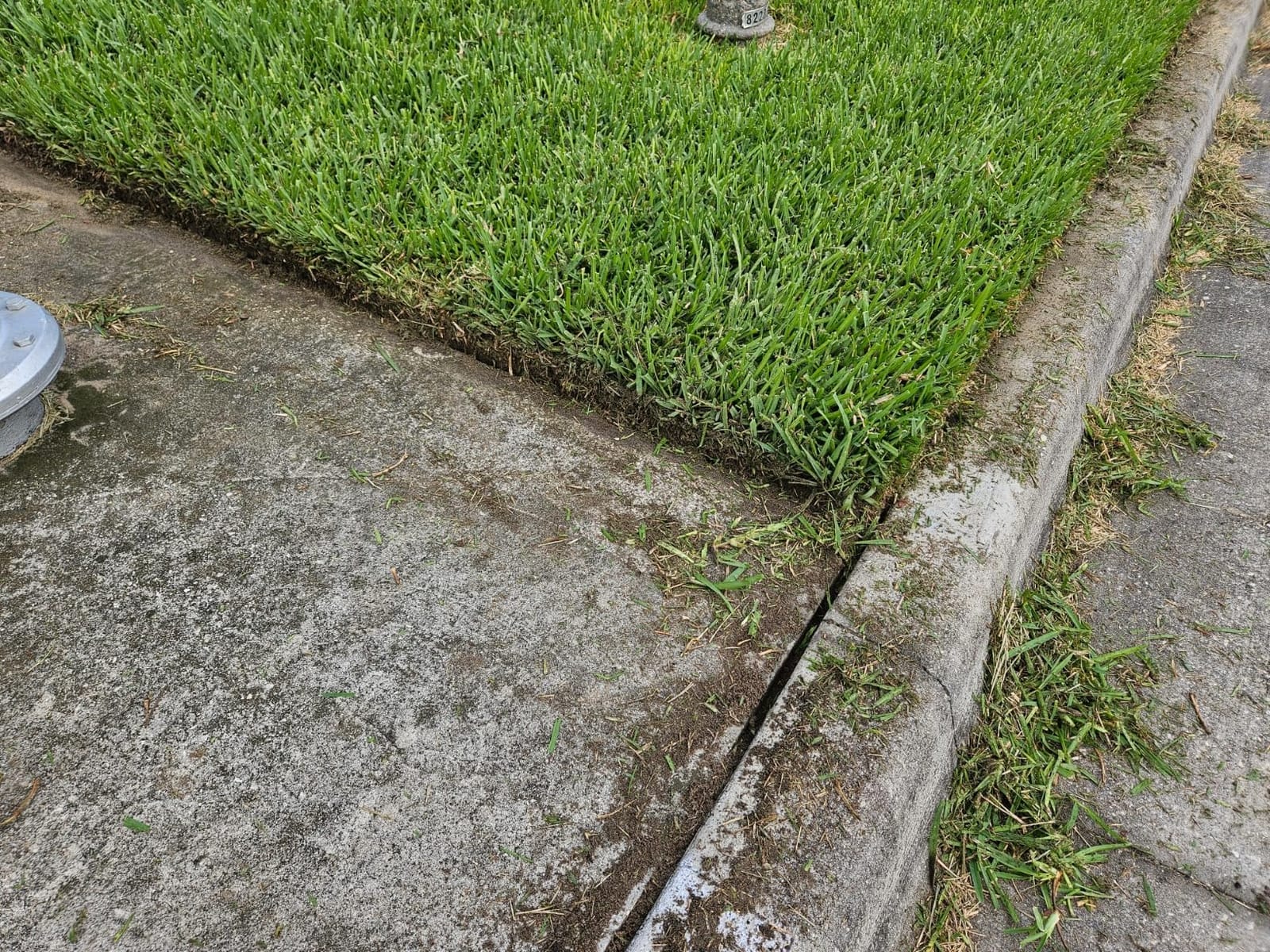 Greenworks 40V 8 in Cordless Electric Lawn Edger, 4.0 Ah Battery, Charger customer photo 2