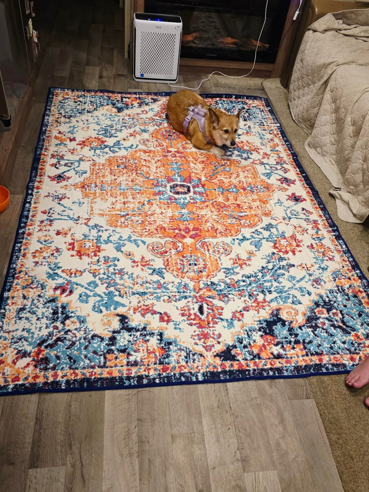 Lahome Felice Boho Tribal 5x7 Washable Living Room Bedroom Rug, Oriental Soft Dining Room Rugs for Under Table, Large Distressed Printed Carpet for Entryway Kitchen Playroom (Rust/Dull Teal,5x7ft) customer photo 1