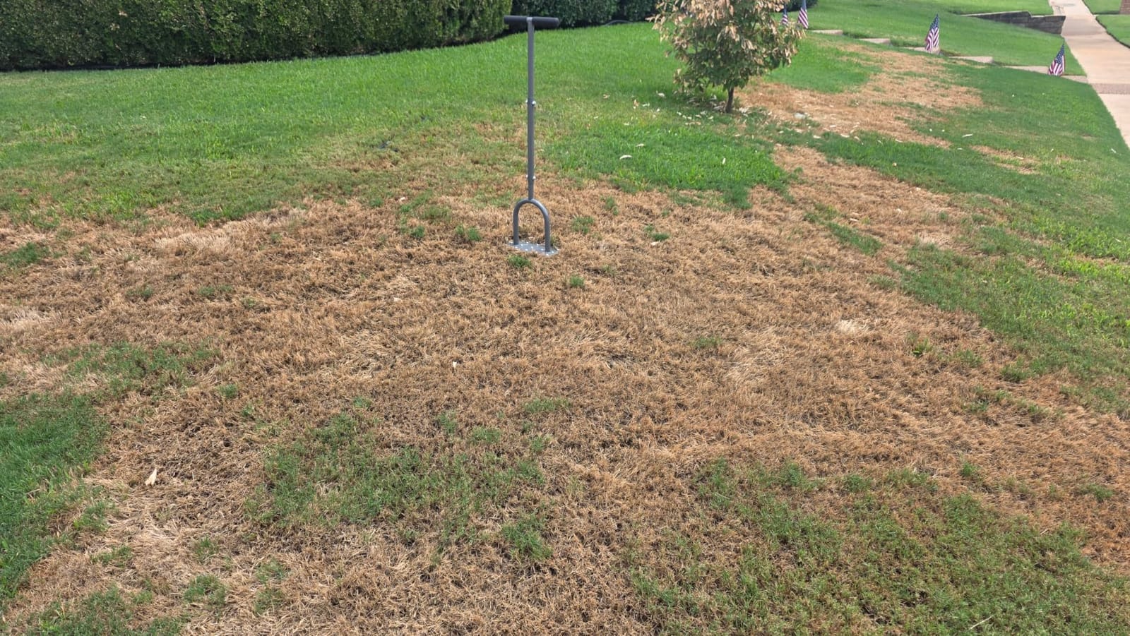 Walensee Manual Lawn Aerator Tool with 15 Iron Spikes, Garden Spike Aerator customer photo 2