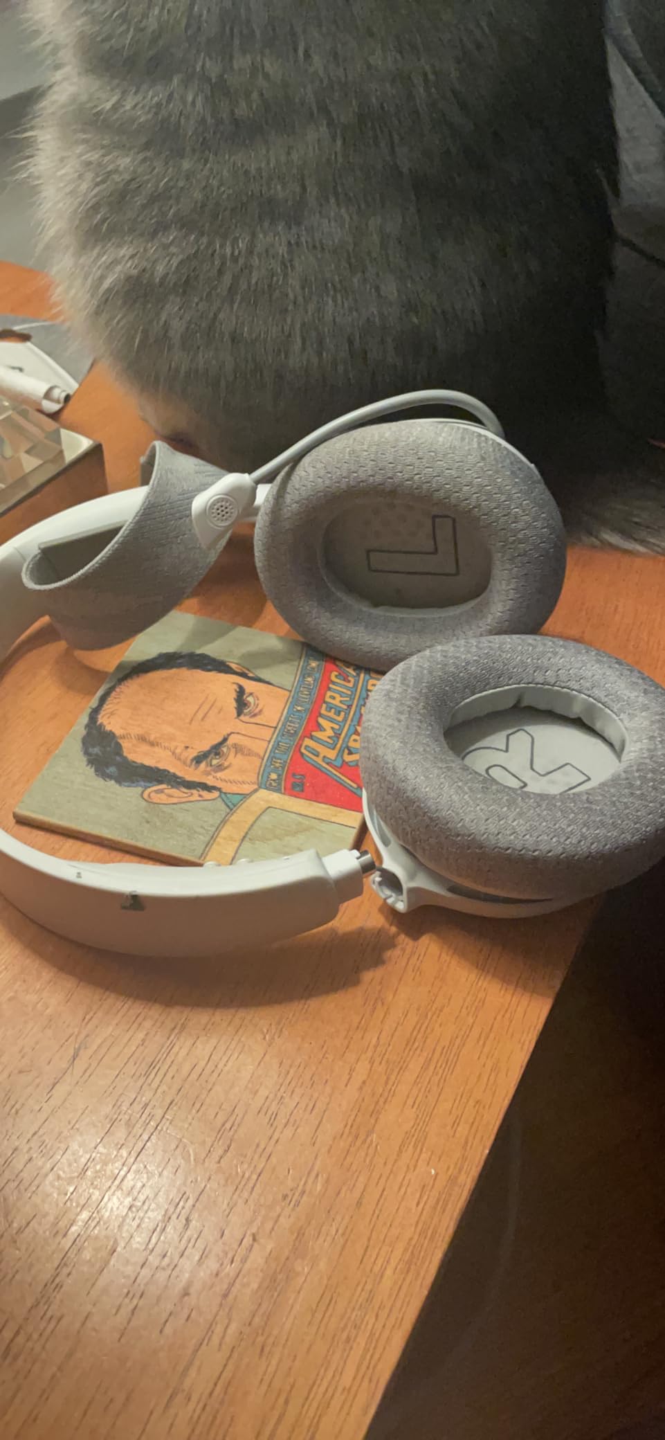 SteelSeries Arctis Nova 1P Multi-System Gaming Headset — Hi-Fi Drivers — 360° Spatial Audio — Comfort Design — Durable — Lightweight — Noise-Cancelling Mic — PS5/PS4, PC, Xbox, Switch - White customer photo 1