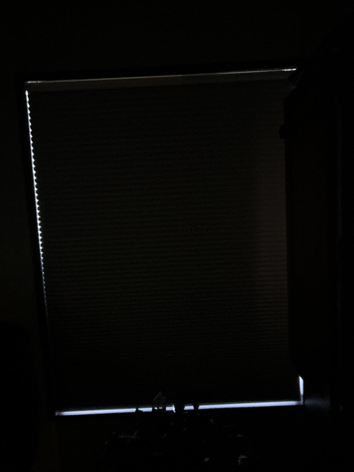 Changshade Cordless Cellular Shades,Light Filtering Honeycomb Shades for Windows,Pull Down Pleated Blinds,Easy to Install for Indoor Windows and French Doors,White,Custom Size customer photo 1