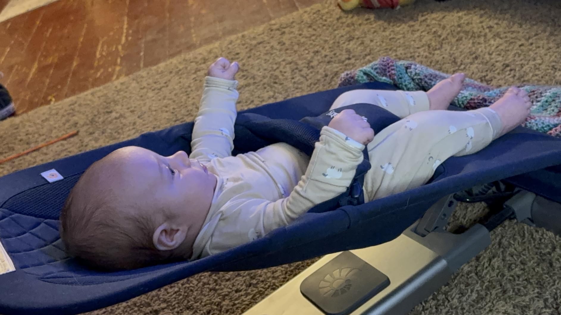 Ergobaby Evolve 3-in-1 Bouncer Seat for Babies and Toddlers 5.5-25 lbs customer photo 1