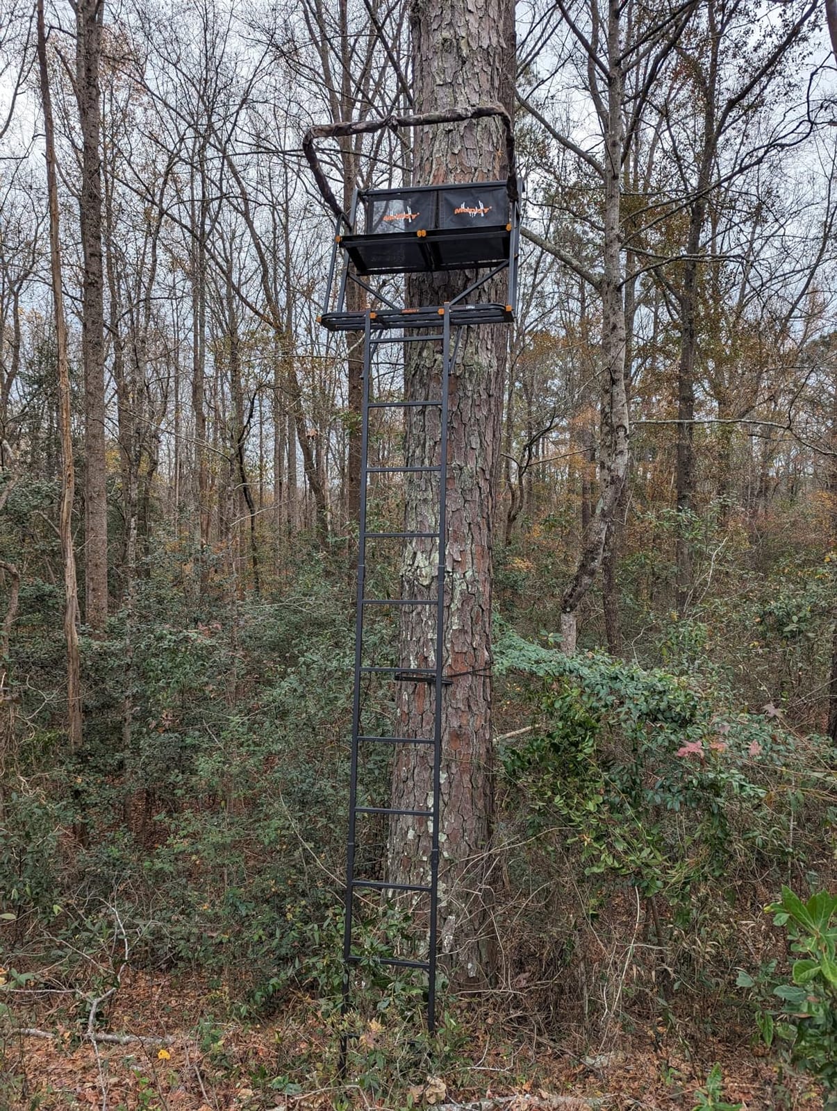 Muddy Maxim 2-Man Ladderstand, Black customer photo 2