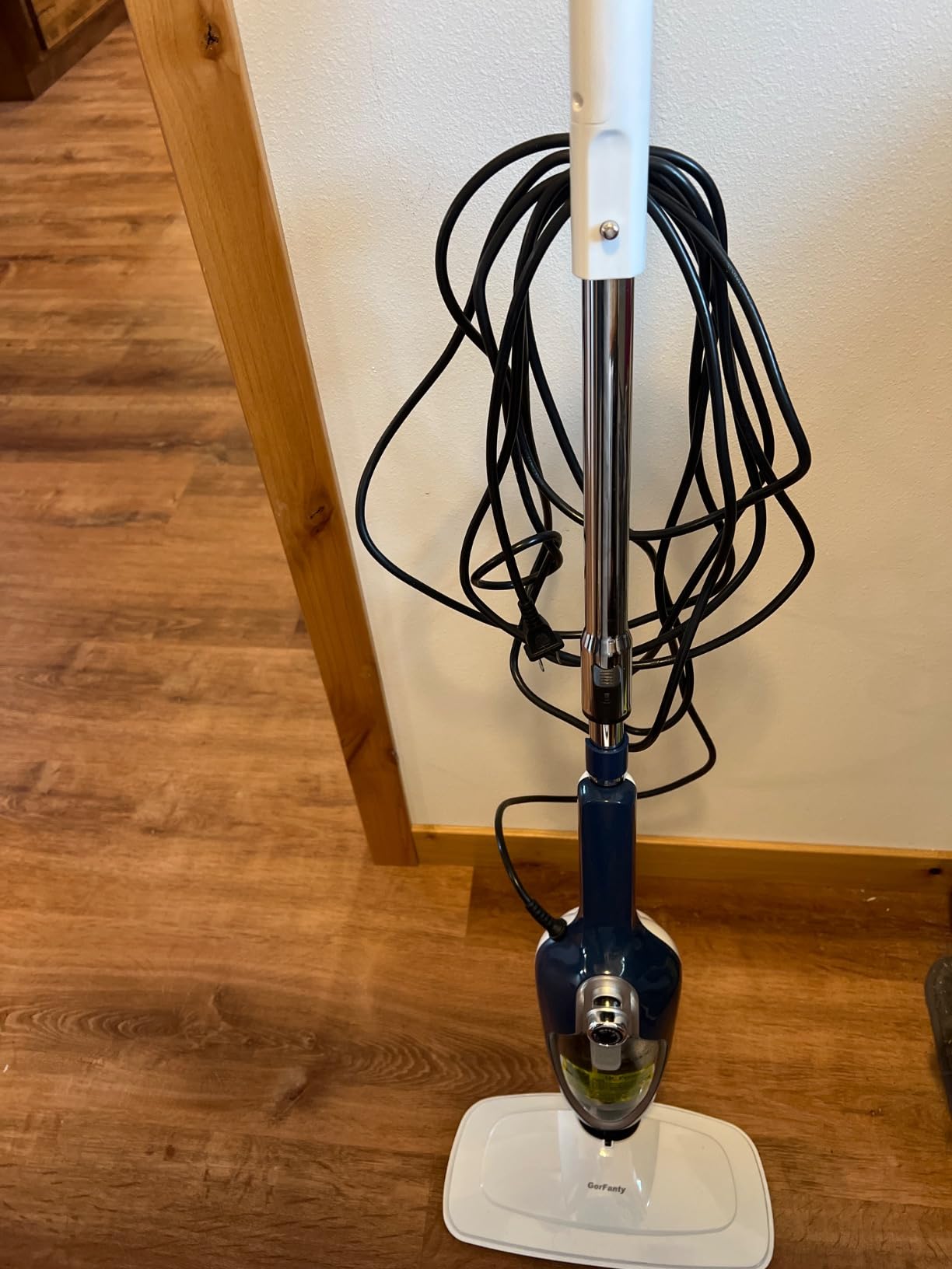 GorFanty Steam Mop - 10-in-1 Floor Steamer MultiPurpose Steam Cleaner customer photo 1