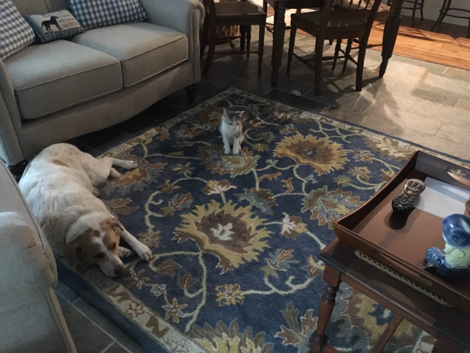 SAFAVIEH Heritage Collection Area Rug - 6' x 9', Navy, Handmade Traditional Oriental Wool, Ideal for High Traffic Areas in Living Room, Bedroom (HG654A) customer photo 2