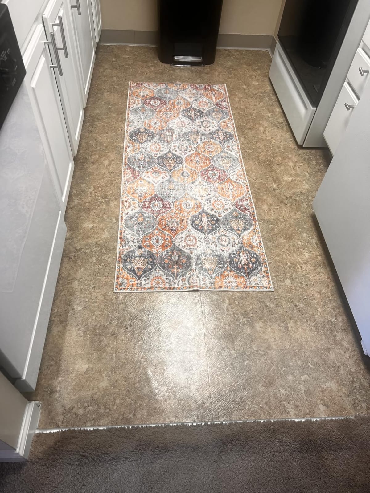Lahome Moroccan Machine Washable Rugs for Living Room, 4x6 Rug for Bedroom customer photo 1