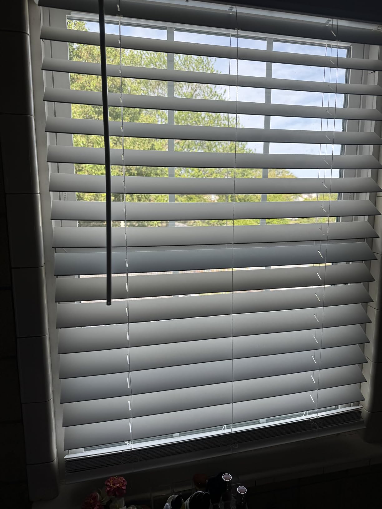 LOTUS & WINDOWARE 2.5-inch Cordless Faux Wood Blind, Plantation Style, 23