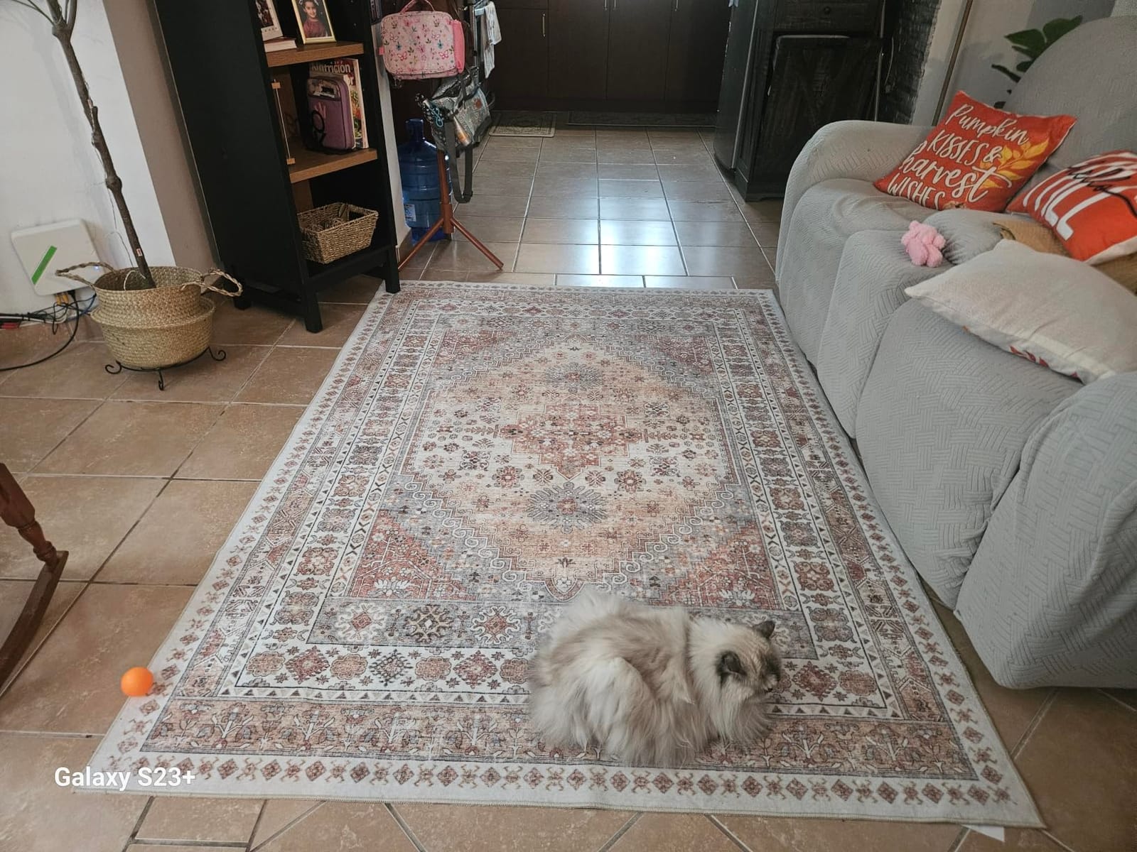 zesthome 8x10 Area Rugs for Living Room,Large Washable Rug,Orange customer photo 2
