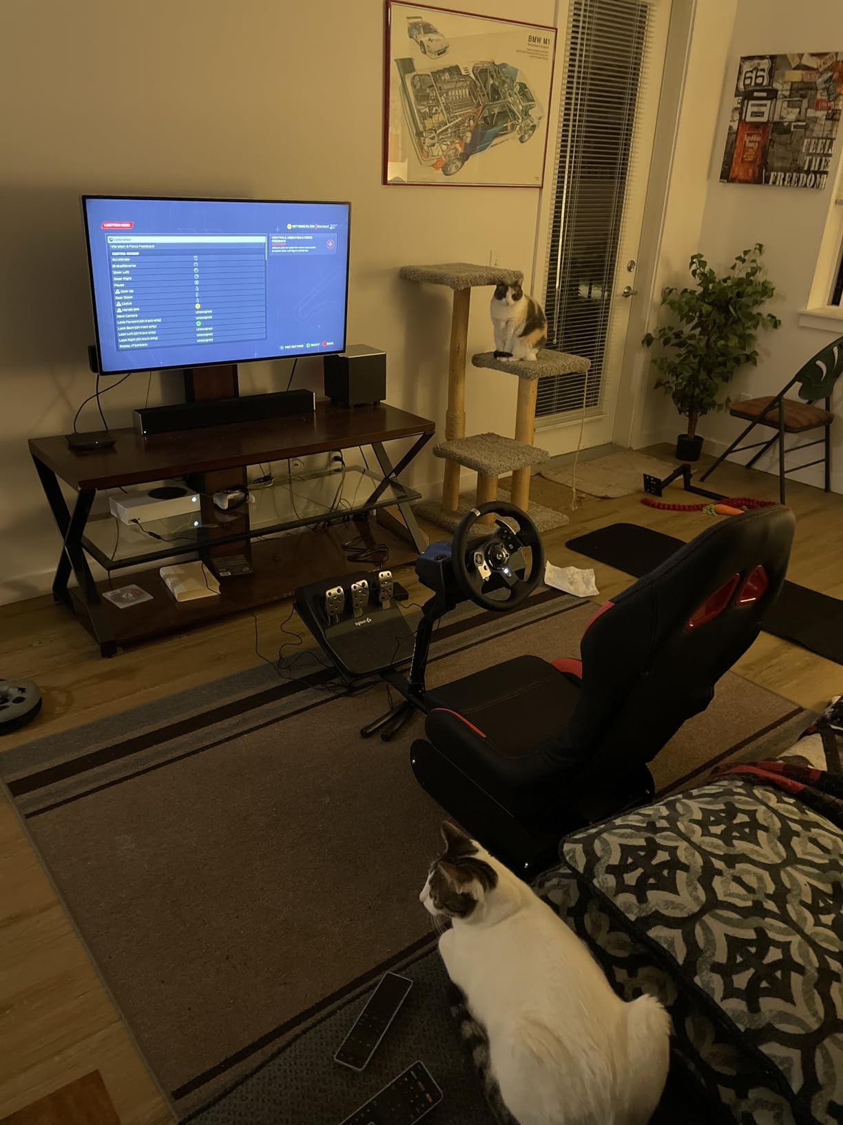 DIWANGUS Racing Simulator Cockpit, Foldable Steel Sim Rig with Seat | Adjustable Wheel Deck Height & Angle, Pedal Angle & Position, Foldable Frame, Fits Logitech, MOZA, Thrustmaster customer photo 1