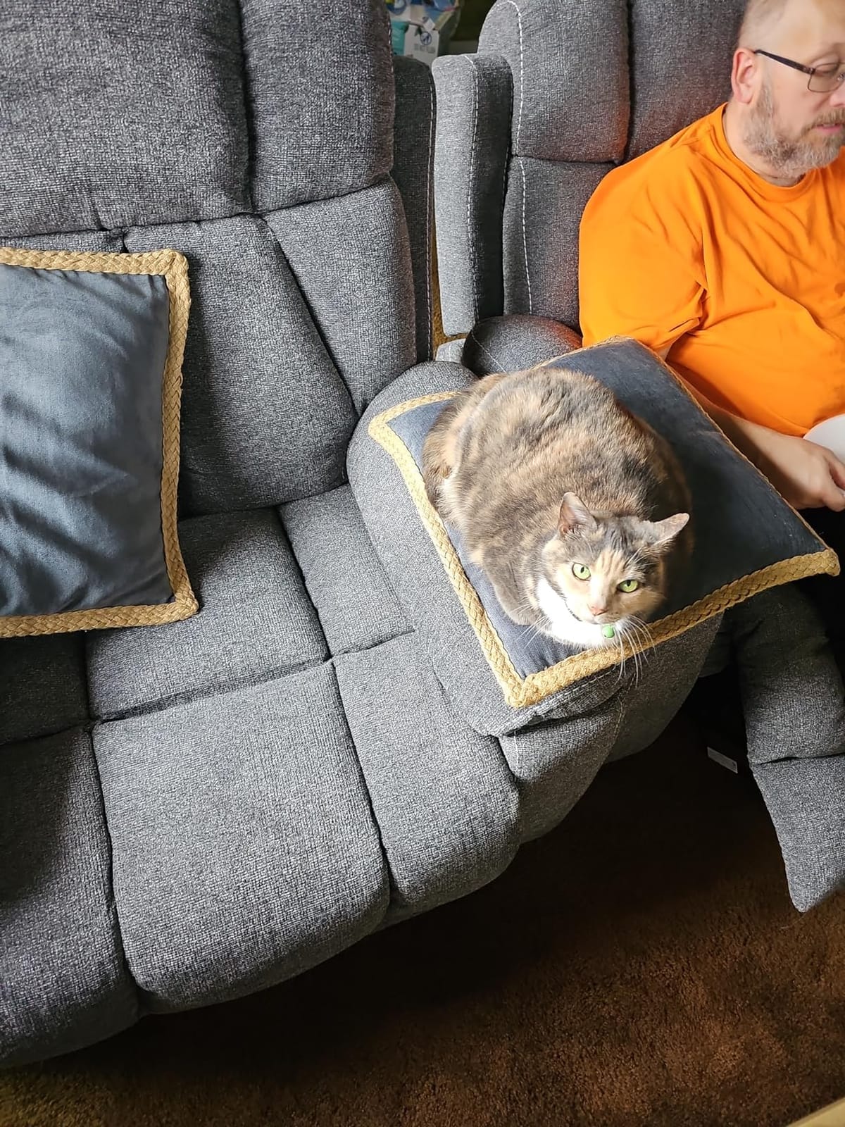 CANMOV Power Lift Recliner Chair for Elderly, Lift Chair with Massage Heat customer photo 2