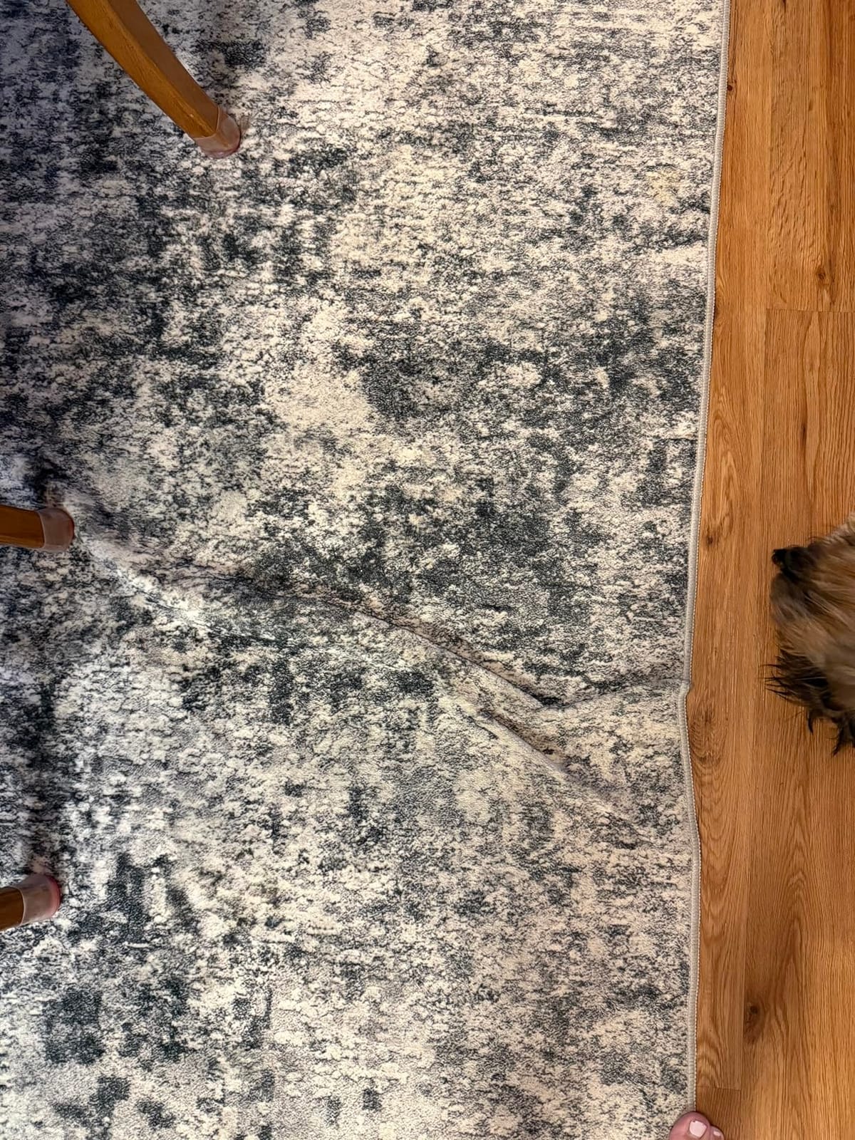 DMOYEST Area Rug Living Room Rugs 8x10 Washable Abstract Grey Carpet customer photo 2