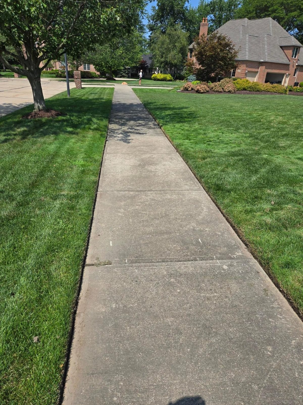 Greenworks 80V 8 in Cordless Electric Lawn Edger, Tool Only customer photo 1