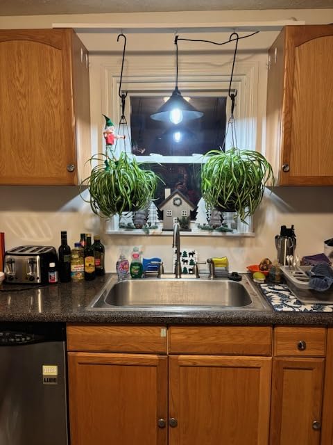 Black Plug in Pendant Light, Industrial Hanging Light with Plug in Cord customer photo 1