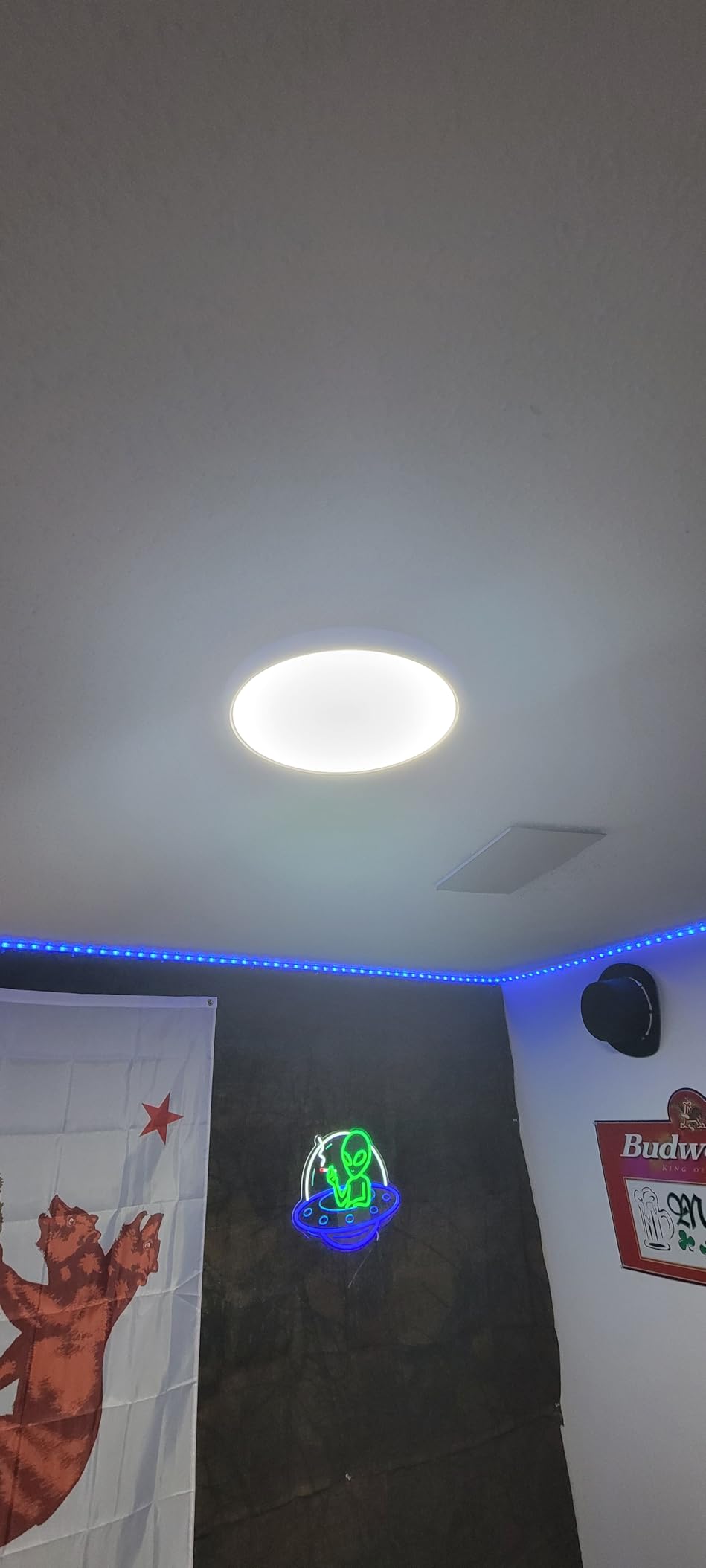 Govee Smart Ceiling Light, RGBIC 2400LM 2700K-6500K 12 Inch 1 Pack White | RGBIC LED Flush Ceiling Light Fixture, 2400LM DIY Colors, Works with Matter Alexa for Bedroom, Living Room customer photo 1