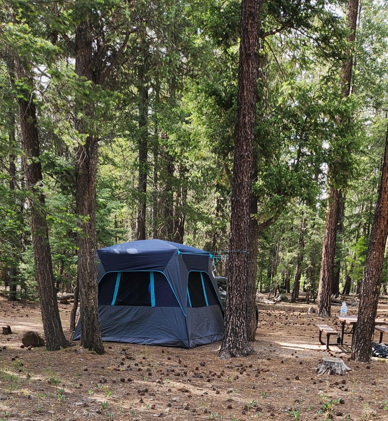 Timber Ridge Truck-Bed-Tents SUV Camping Tent customer photo 1