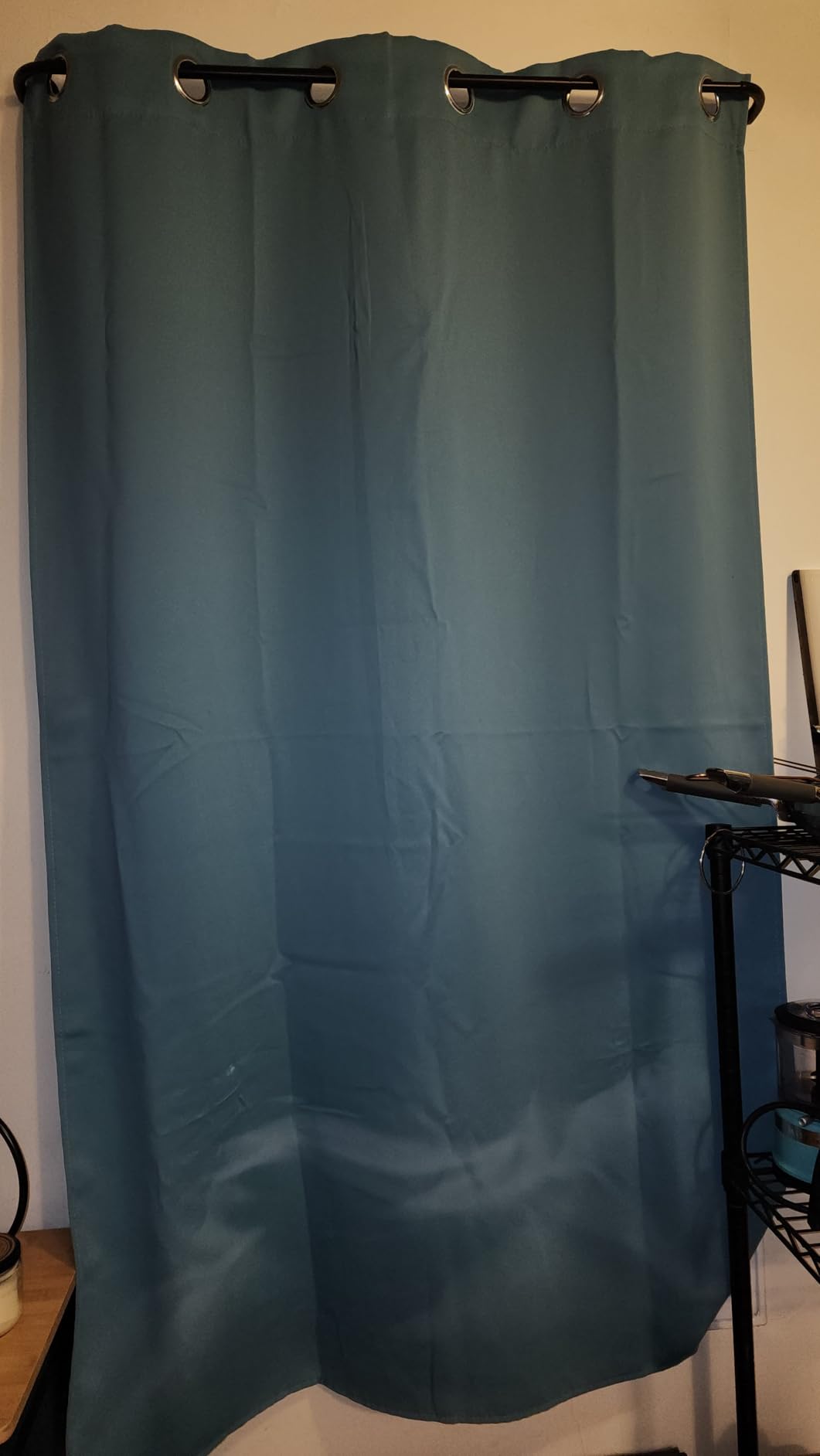 Rowenta Pure Force 2in1 Steamer & Iron: Powerful 1875 Watts, Vertical Steaming & Horizontal Ironing, Auto-off, XL Tank Capacity (7.1 Oz), Green Clothes Steamer DR8822 customer photo 1