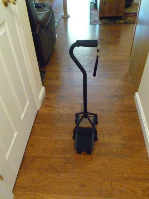 MMingo Adjustable Stair Climbing Assist Cane for Seniors, Non-Slip Walking Aid for Stability and Mobility on Stairs, Walk Up and Down with Ease customer photo 1