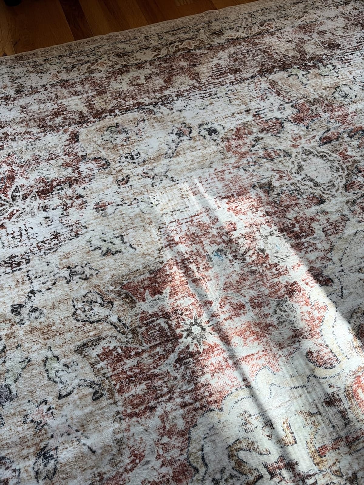 CHAMPLANT Washable Vintage Area Rug 6'x9' Boho Beige Blue Chic Medallion Distressed Design Non-Shedding Easy Care Ideal for High Traffic Areas in Living Room Bedroom Kitchen Office Large Carpet customer photo 1