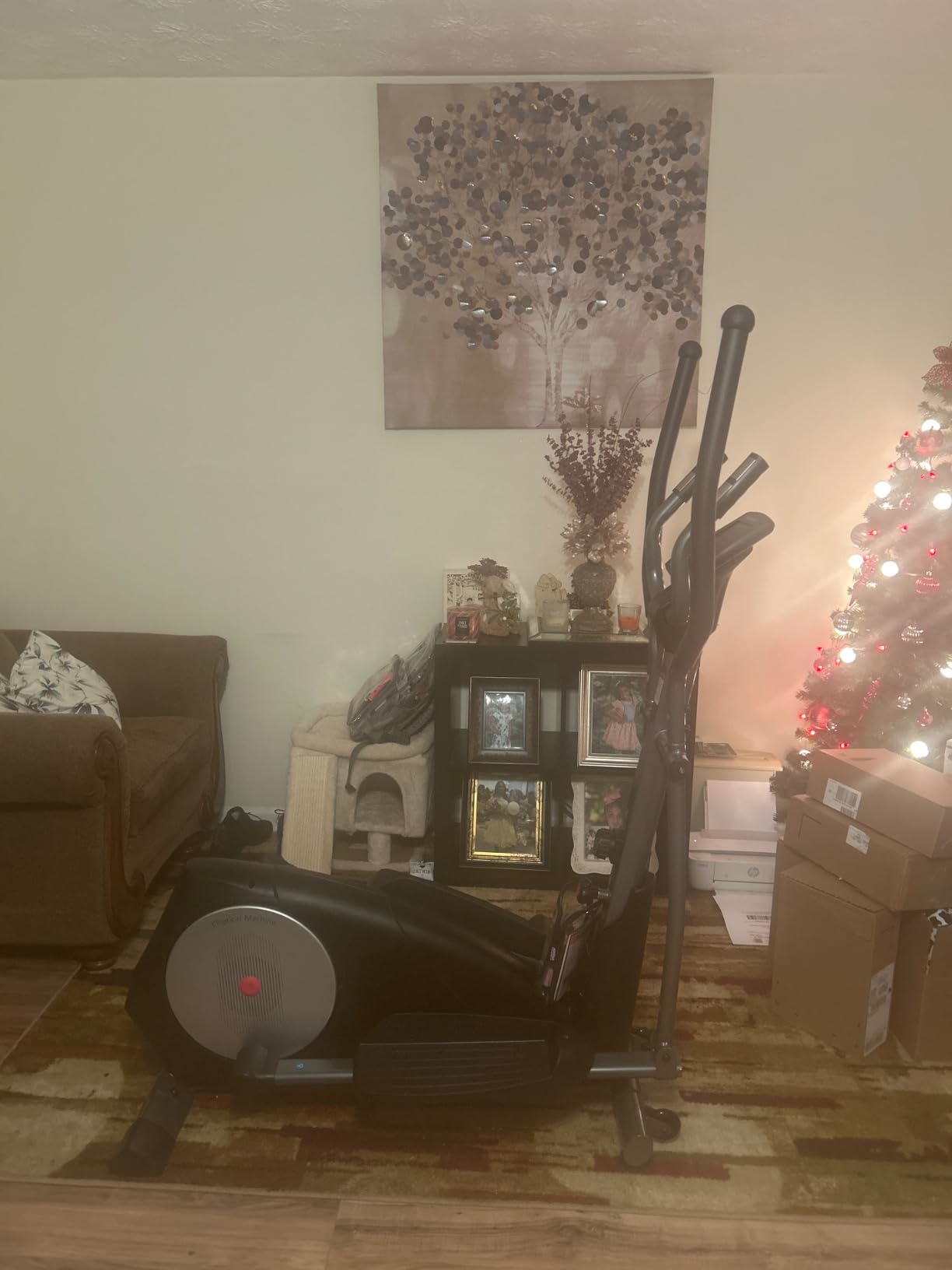 ANCHEER 50
