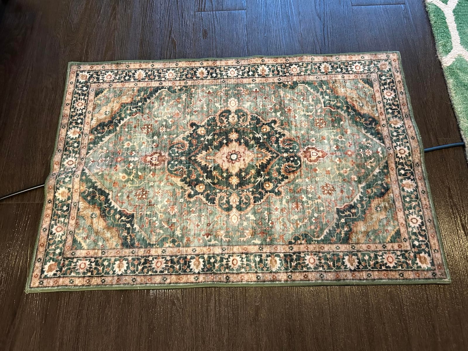Green Rugs for Living Room - Boho 4x6 Area Rug Ultra Soft Vintage Rugs for Bedroom Playroom Decor, Low Pile Non-Slip Backing Throw Rugs Washable (Border Green customer photo 2