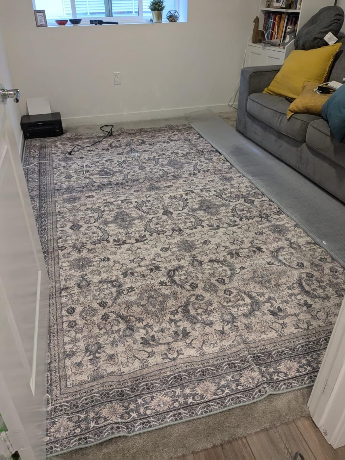 Istana 6x9 Area Rugs - Beige Grey/Light Cream Rugs for Living Room - Luxurious Silk's Soft Touch Living Room Rug - Elegant Non Slip Area Rug customer photo 1