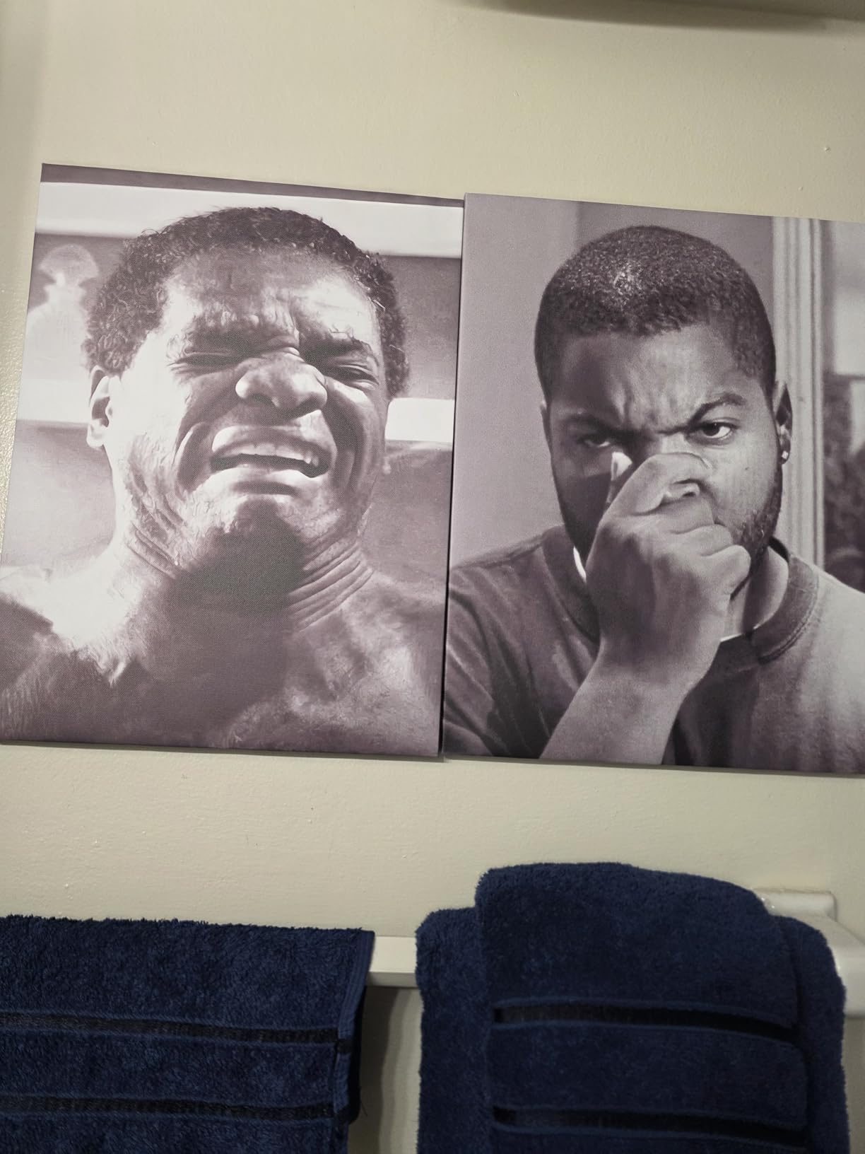 Framed Funny Bathroom Canvas Wall Art Set of 2 - Black and White Vintage Comedy Movies Posters, Funny Toilet Humour Smell Wall Decor Prints for Bathroom Decor 12x16in customer photo 2