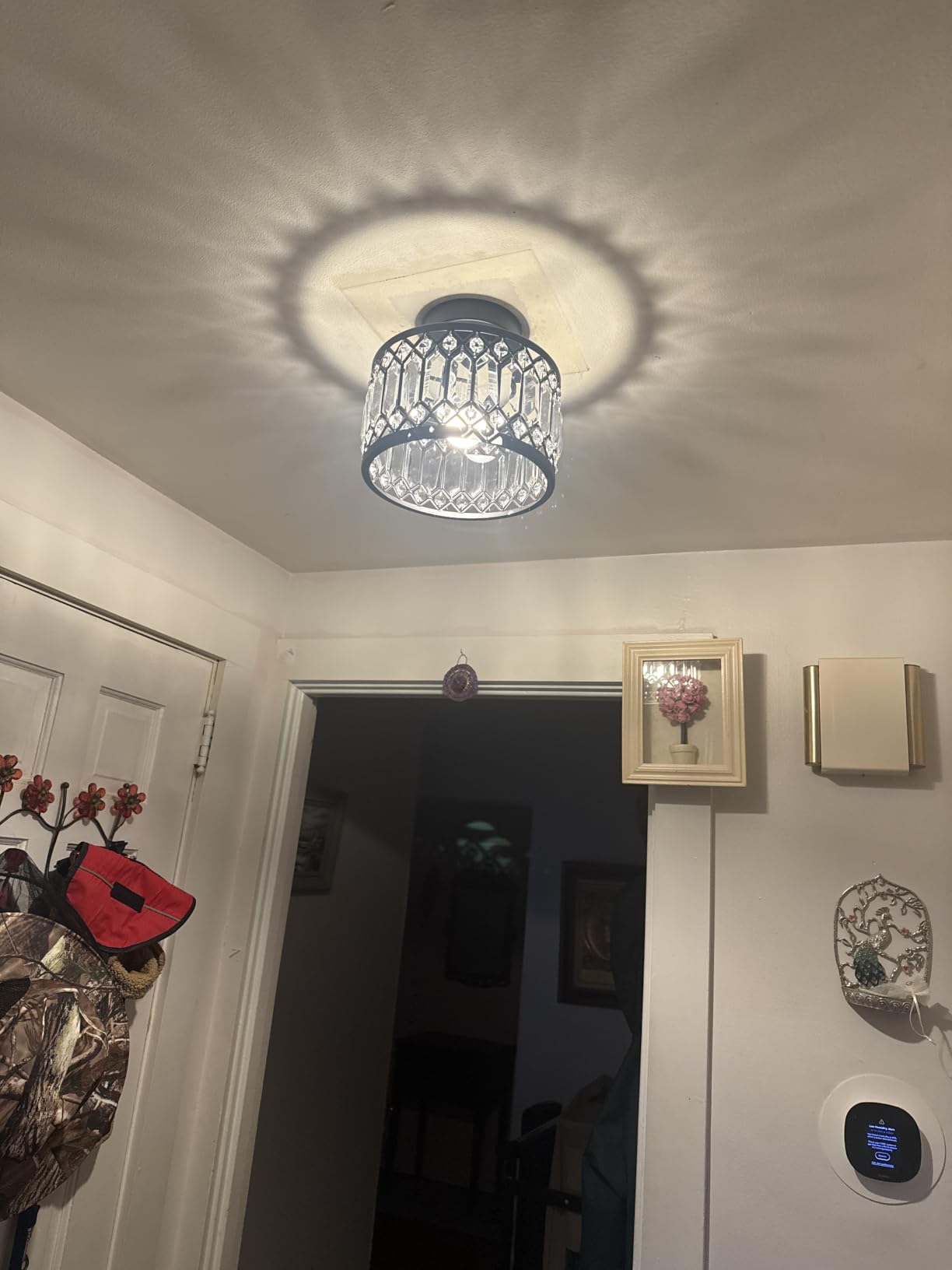 Pevfah Crystal Black Ceiling Light, 1-Light Semi Flush Light Fixture, 9 in customer photo 2