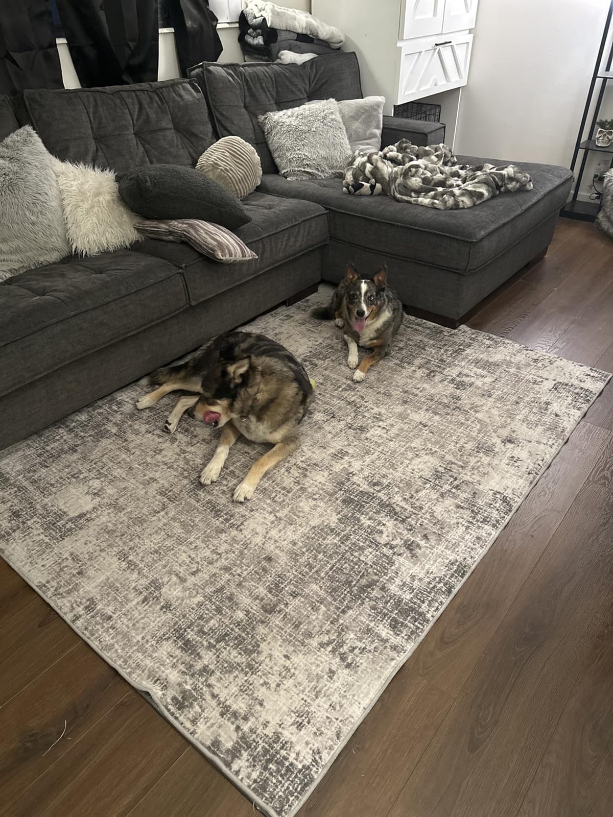 ILANGO Jute Area Rugs 8x10 for Living Room, Woven Washable Outdoor Rugs, Natural Farmhouse Indoor Rugs for High Traffice Areas, Non Slip Carpet with Rubber Backing for Bedroom Dining Table Porch customer photo 1