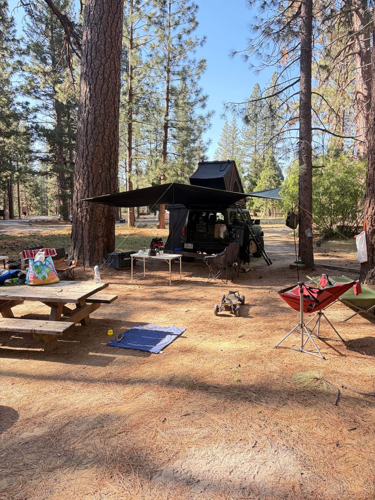 TIMBER RIDGE Blackout Coating Car Awning, 19x9.8ft, Green customer photo 2