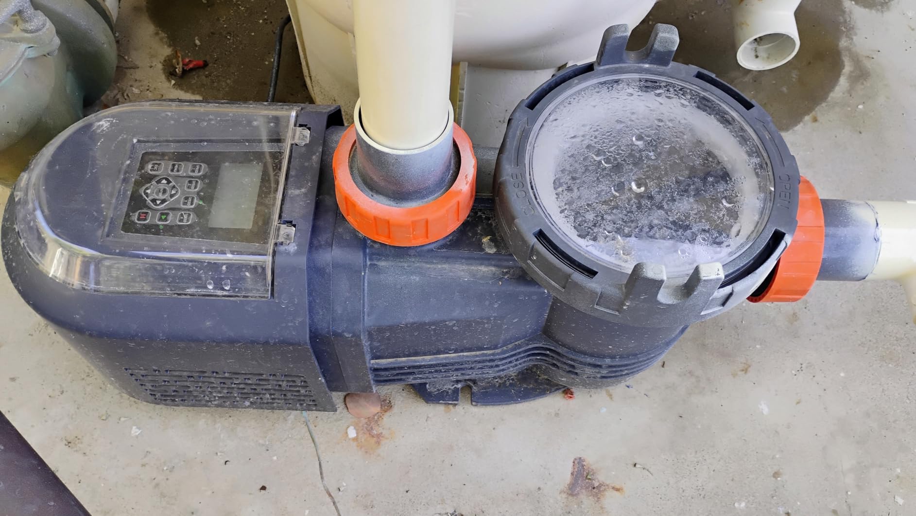 2.5HP Variable Speed Pool Pump for In Ground and Above Ground Pools 220V customer photo 2