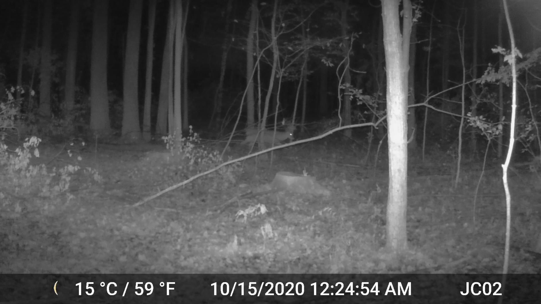 GardePro A3S 2-Pack Trail Camera, 64MP Photo, 1296P HD Video with Sound customer photo 2
