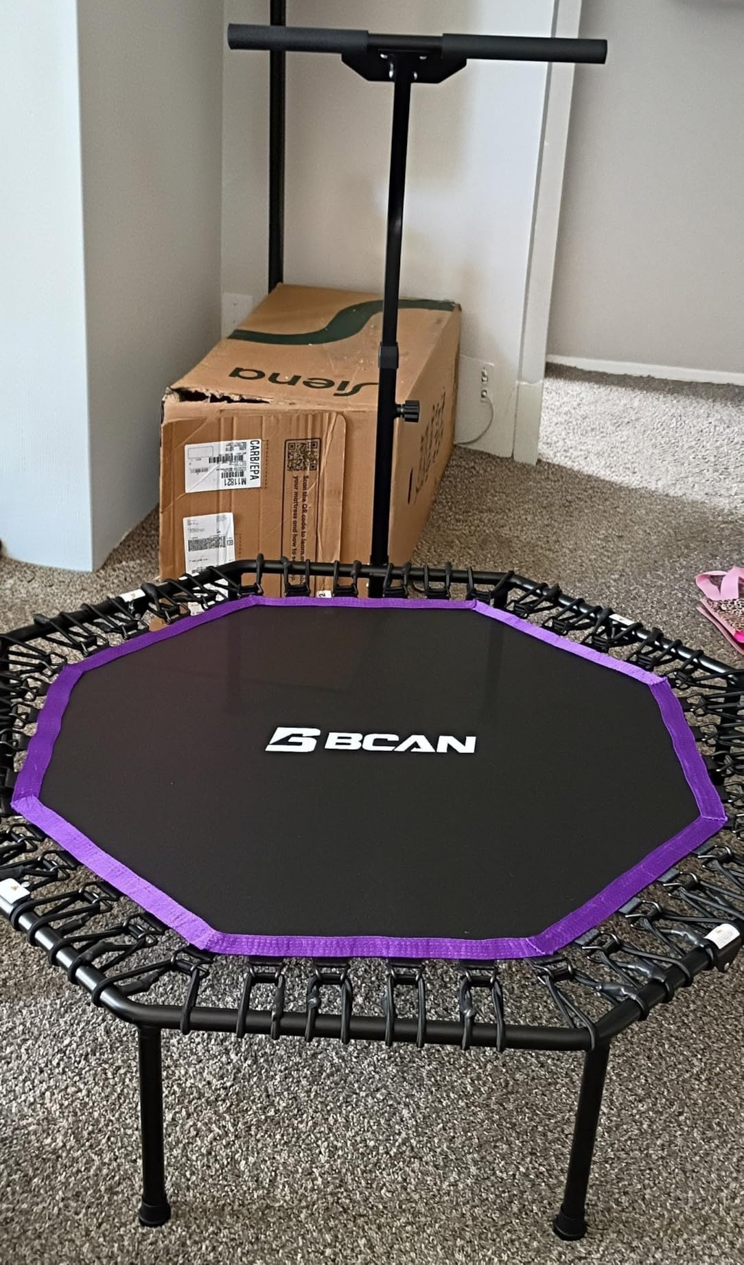 BCAN BT3 51