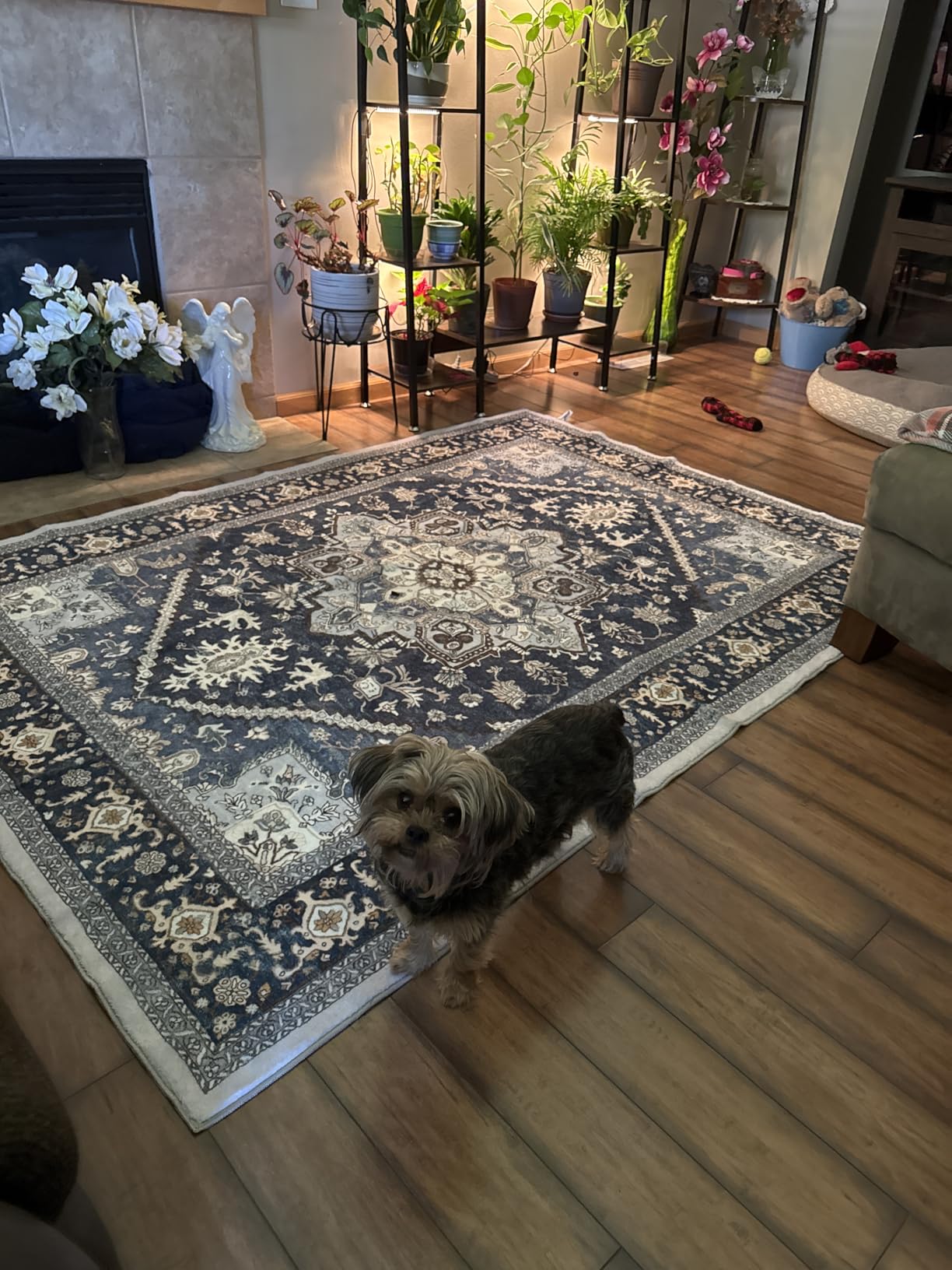OPPODREAM Soft Area Rugs 5x7, Persian-Inspired Washable Rug, Blue & Gold customer photo 2